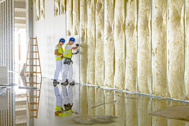 Best Reflective Insulation  in Marshall, MO